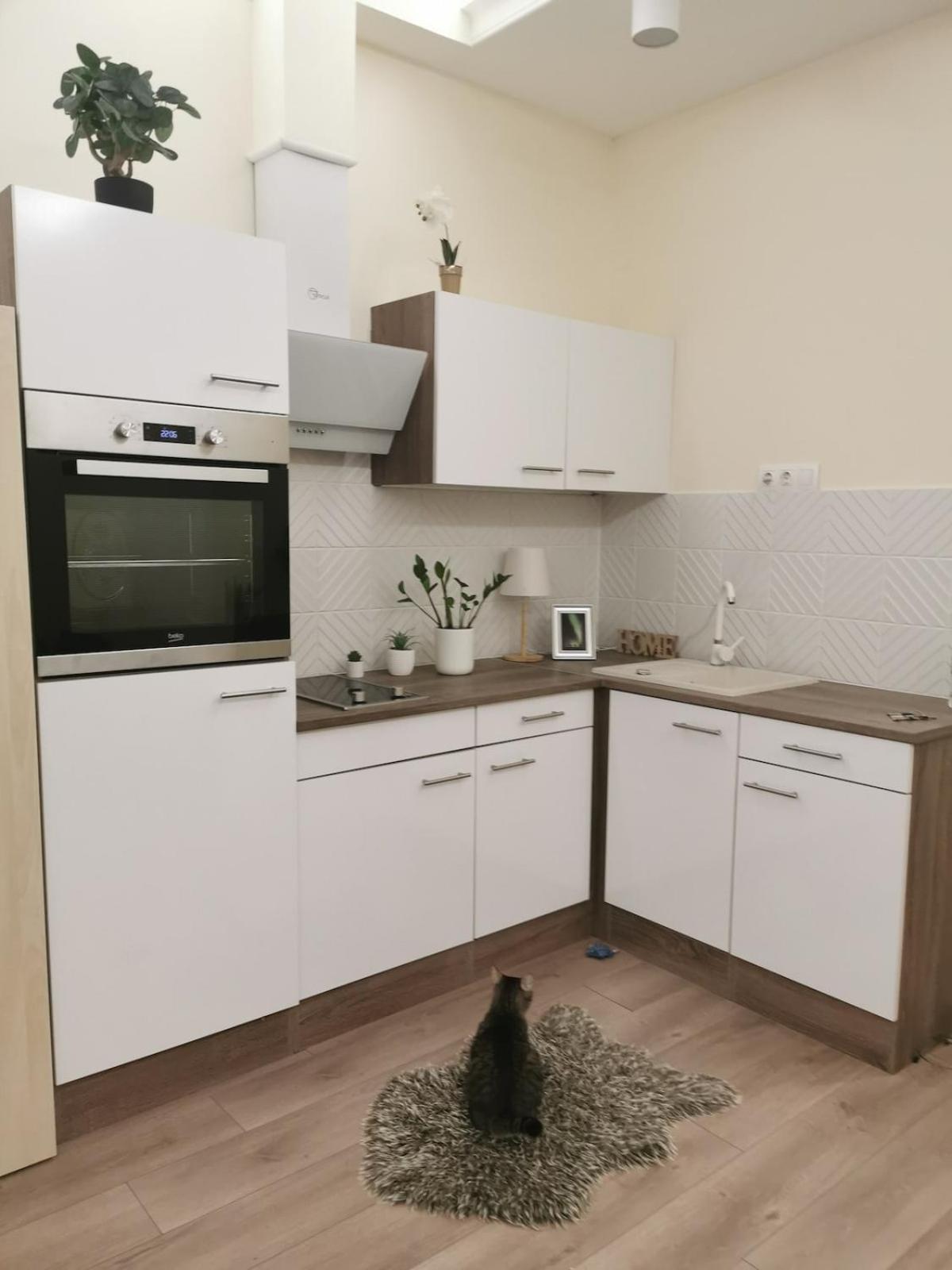 Apartment Luxury *